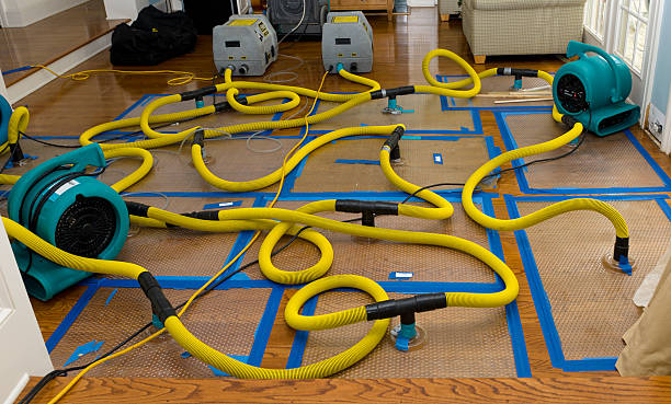 Professional Structural Drying And Dehumidification technician working in Happy Valley, OR